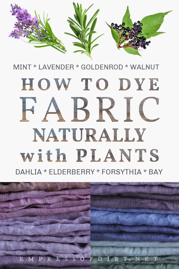 Many of the plants we grow like lavender, nettles, goldenrod, and elderberries can be used as natural dyes for fabrics like cotton, wool, and linen. Use this starter guide to begin creating botanical dyes from your garden. Eco Dyeing Fabric, Fabric Dyeing Techniques, How To Dye Fabric, Yarn Dyeing, Natural Dye Fabric, Natural Fabrics, Natural Dyes, Natural Green Dye, Fabric Painting
