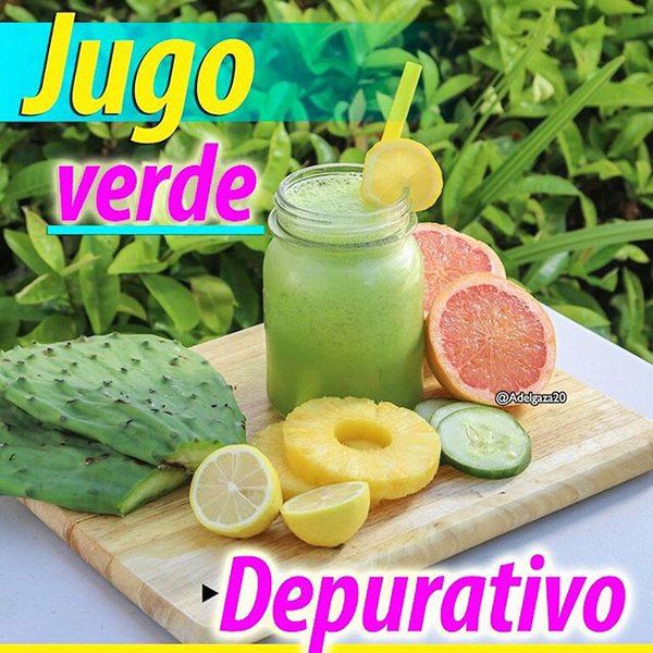 Abnehmen in 5 Tagen Ingrid Macher Detox