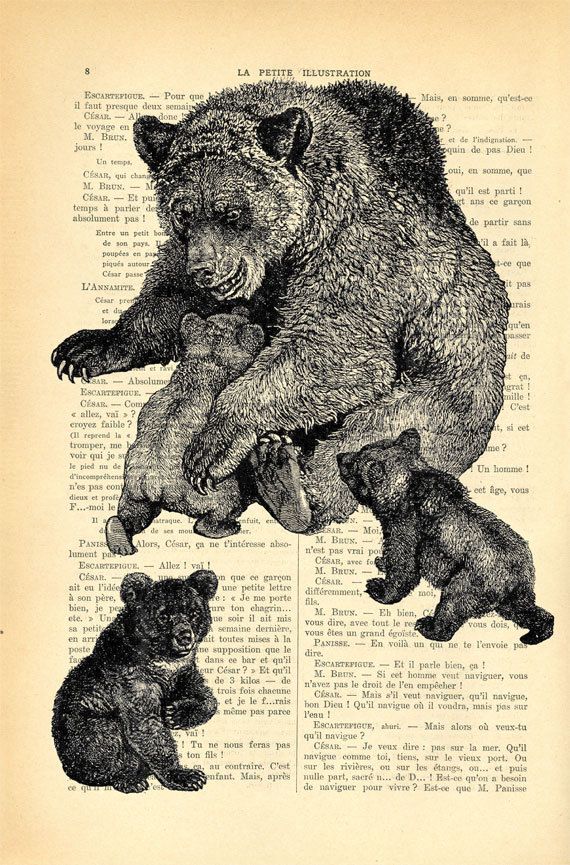 Mother Bear And Three Baby Bears Art Print By MadameMemento Mother Bear And Three Baby Bears Art Print By MadameMemento