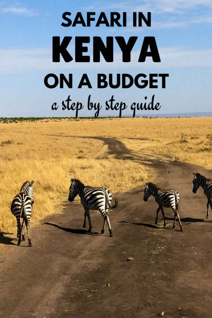 How To Do A Safari In Kenya On A Budget Step By Step Guide Against The Compass Seyahat Afrika Orgu Modelleri