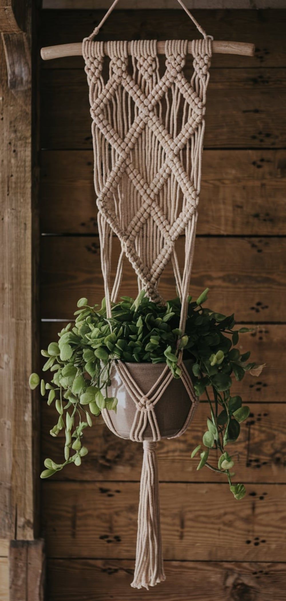 15 Easy DIY Macrame Plant Hanger Patterns