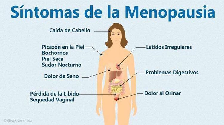 Pin On Cuidados De Tu Salud