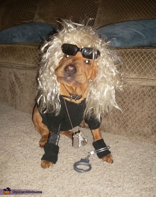 Dog The Bounty Hunter Halloween Costume Contest At Costume Works