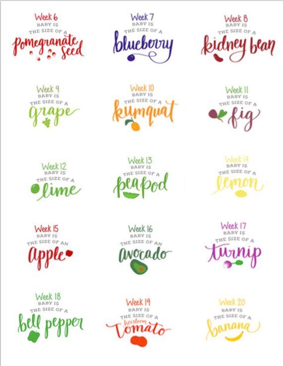Printable Pregnancy Week By Signs Corresponding Fruits And Printable Pregnancy Week By Signs Corresponding Fruits And Veggies Fruit Chart P