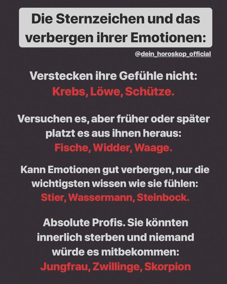 Skorpion kennenlernen