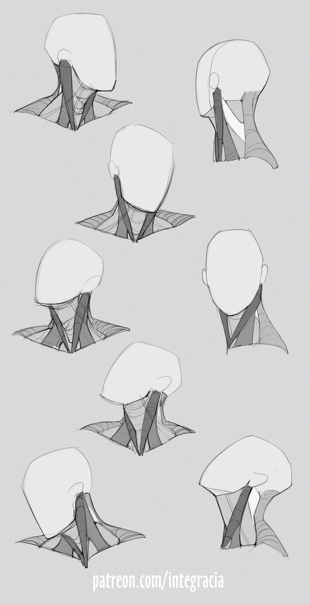 Azizla Swiftwind está creando Digital Art and Tutorials | Patreon Figure Drawing Reference, Art Reference Photos, Anatomy Reference, Pose Reference Photo Drawing, Skull Reference, Human Poses Reference, Face Reference, Anatomy Sketches, Art Drawings Sketches