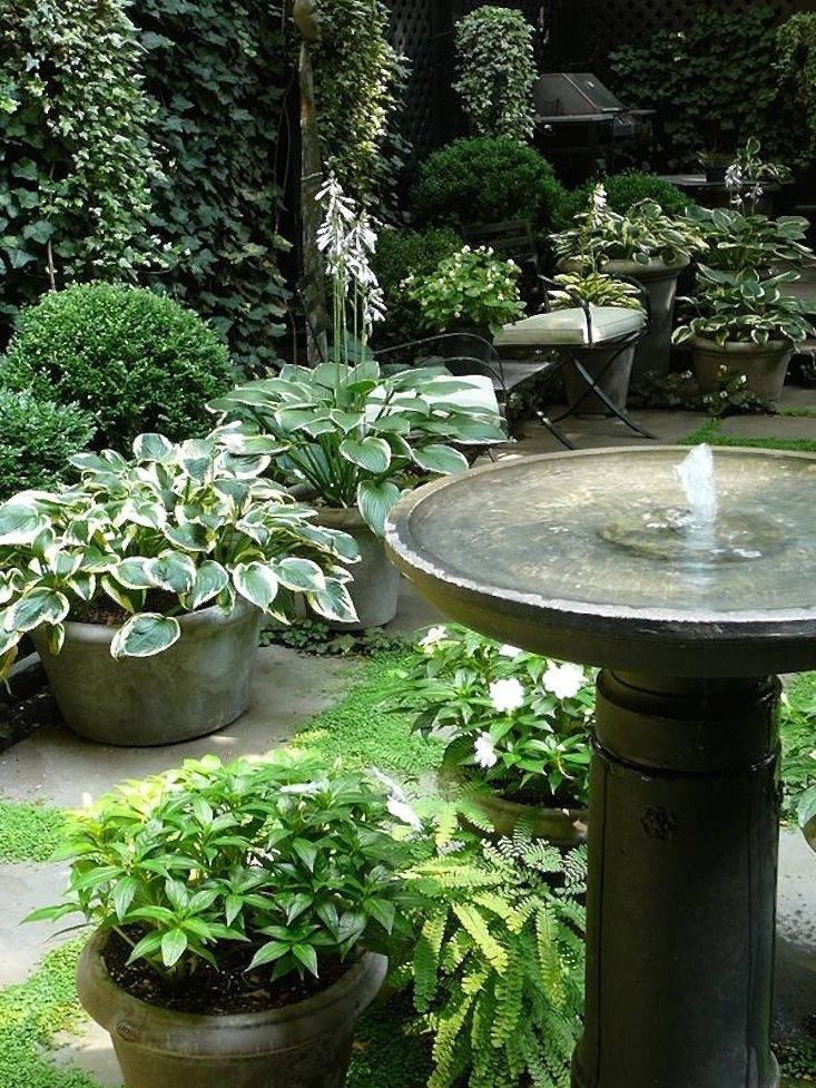 Landscape Architect Visit: