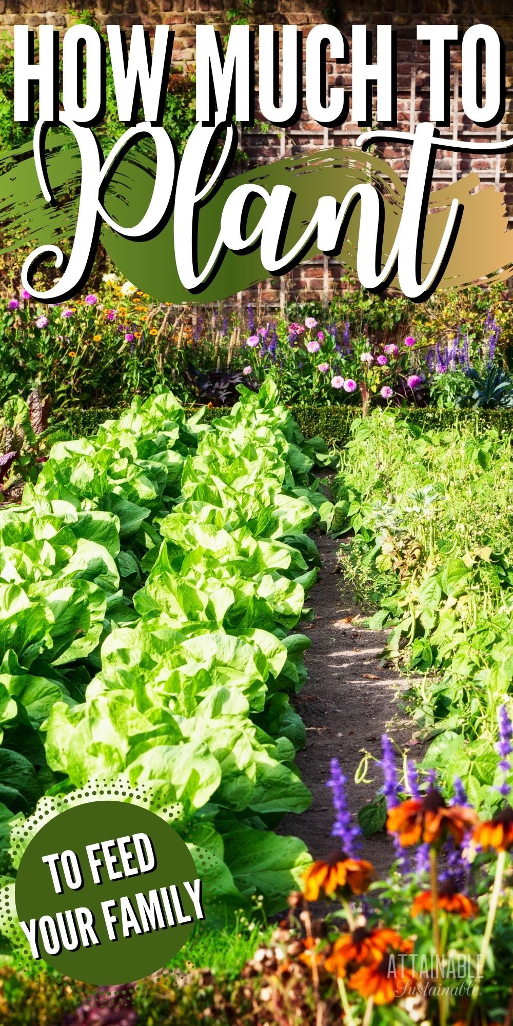 growing a garden plot how much should you plant in 2021 backyard vegetable gardens garden plots growing food garden plot design on growing a garden plot how much should you plant in 2021 backyard vegetable gardens garden plots growing food pinterest