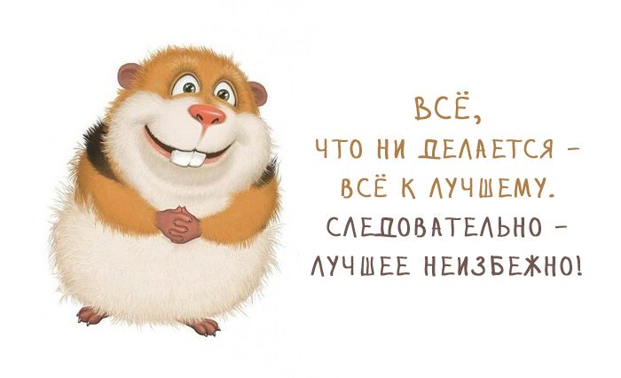 Веселые жизнеутверждающие картинки с остроумными фразами