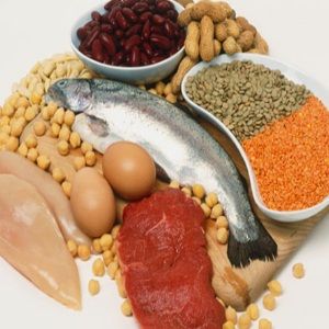 vit b12 voeding vit b12 voeding