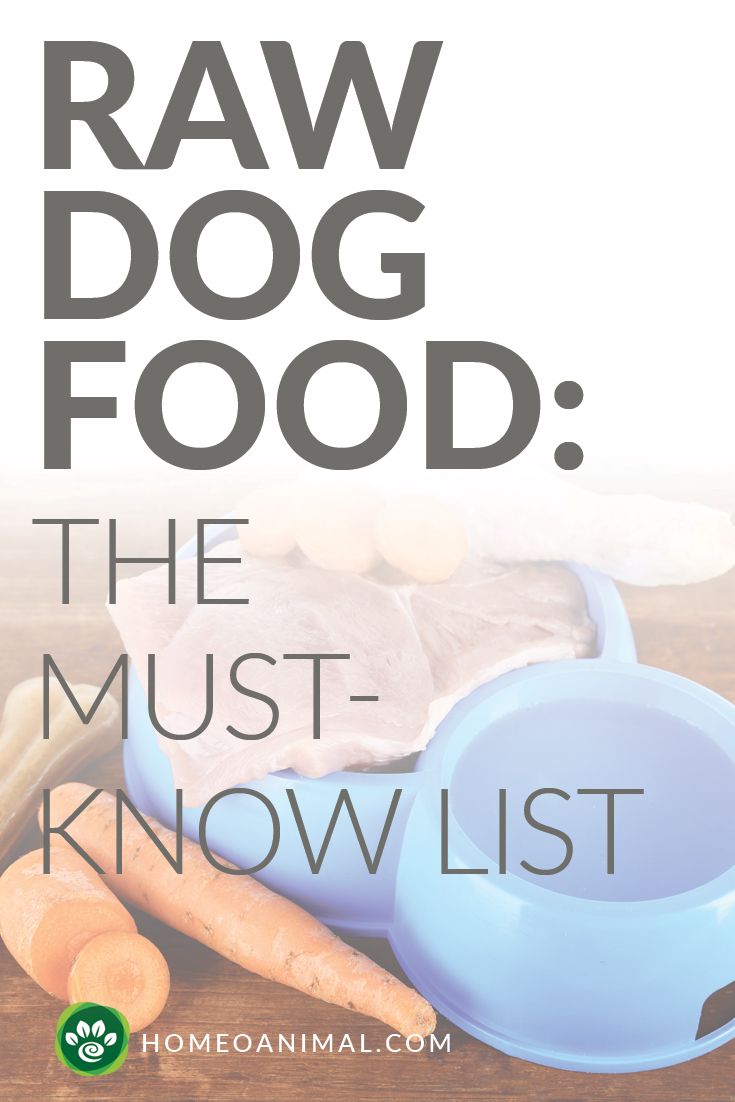 Best Book Advice On Raw Food For Dogs Best Book Advice On Raw Food For Dogs