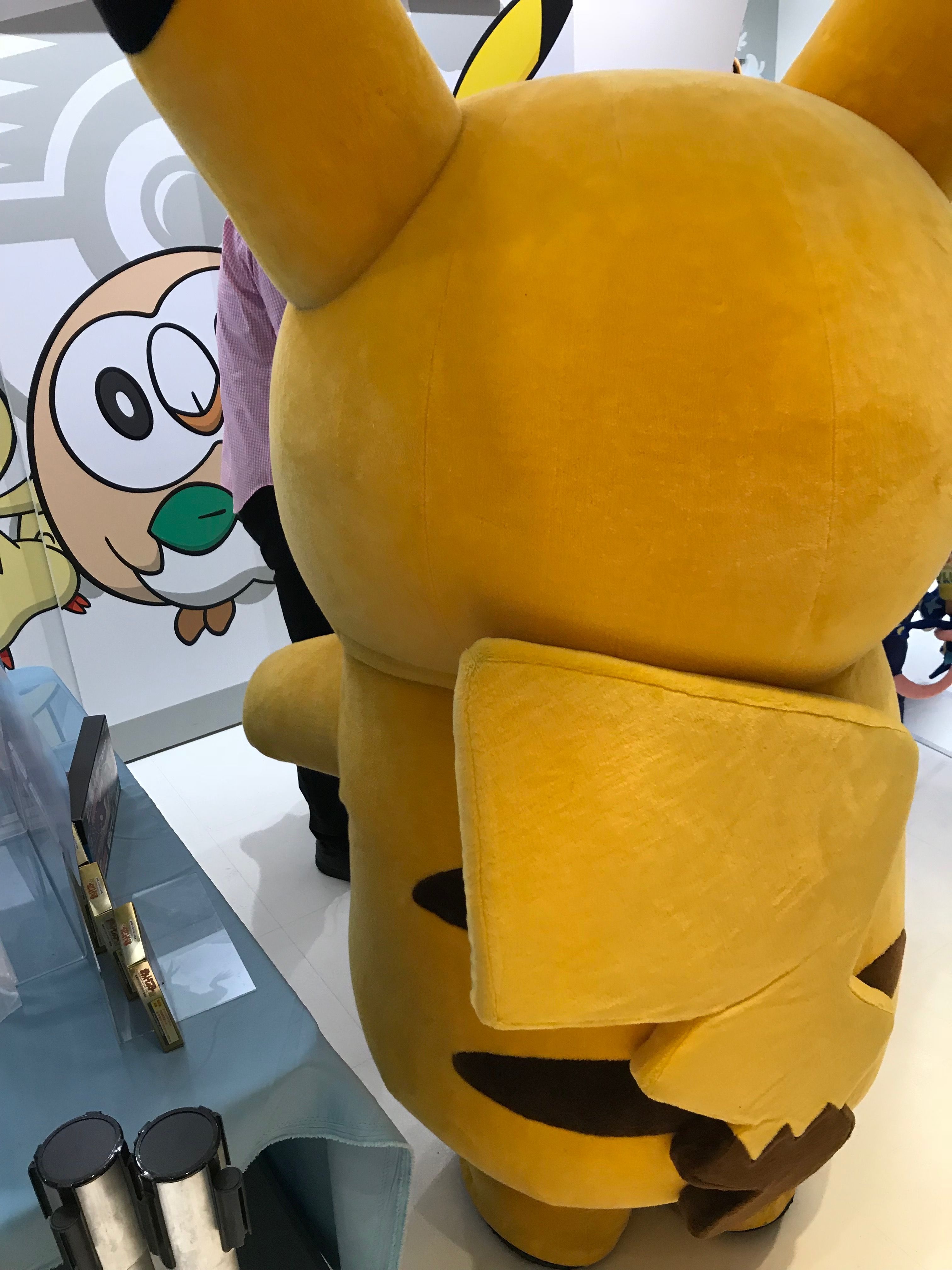 男ピカチュウの背中 ポケモン ピカチュウ ピカ 男ピカチュウの背中 ポケモン ピカチュウ ピカ