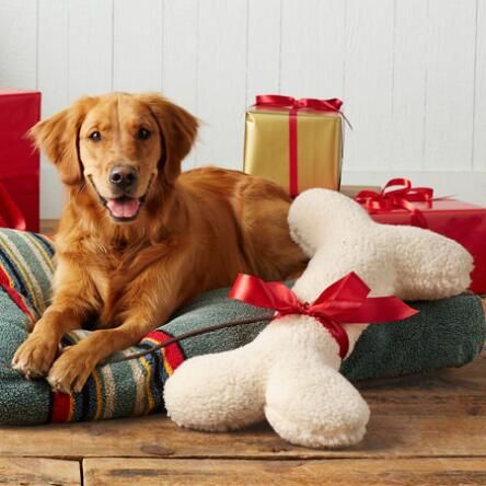 stuffed bone for dogs