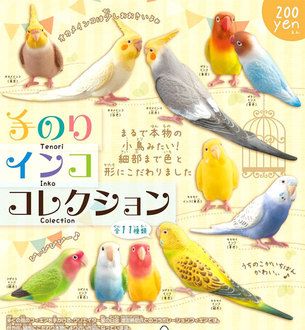 Havikoro Toy Rakuten Global Market Shineg Shing Hand Glue Parrot Collection Knockout 8 Set Parrot Budgies Bird Illustration