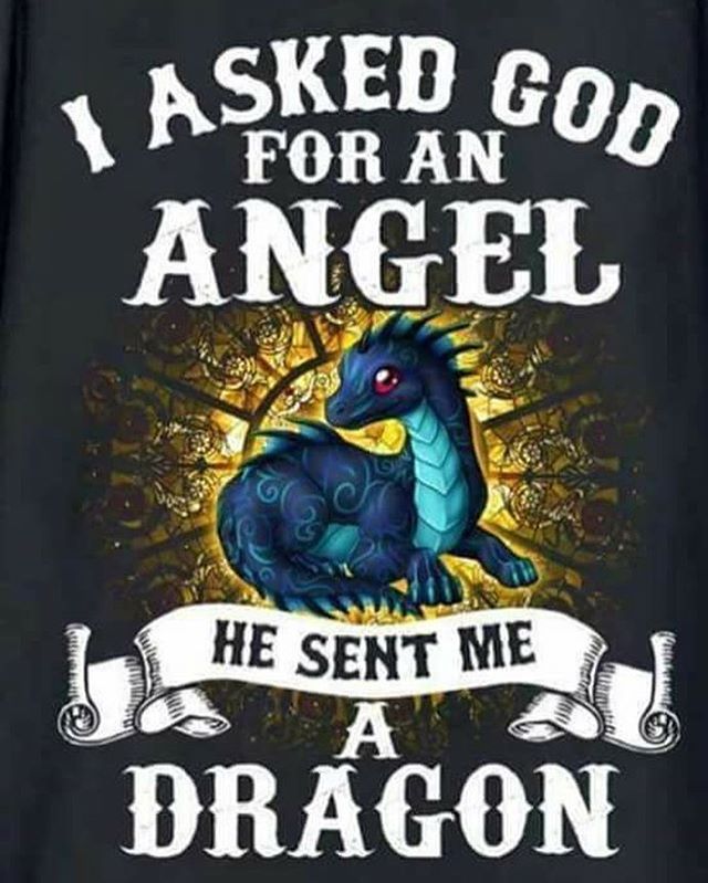 Sometimes God Goddess or the universe can have a funny sense of humor! - But hey if I get sent a Dragon instead of angel Im not complaining! How about you? Hi would you feel about this? @jianawesselmusic - Tag someone whod want a Dragon instead of an angel - #dragons#dragonsaregoodforthesoul#dragon#babydragon#dragoncon#dragonage#fantasy#fantasyart#gameofthronesfan#gameofthrones#dungeonsanddragons#skyrim#daenerystargaryen#dragonsarecool#dragonmusic#dragonmetal#gothdragonmetal#jianawesselm Fairy Dragon, Fantasy Dragon, Fantasy Art, Dragon Lady, Dragon Blood, Fantasy Life, Magical Creatures, Fantasy Creatures, Dragon Quotes