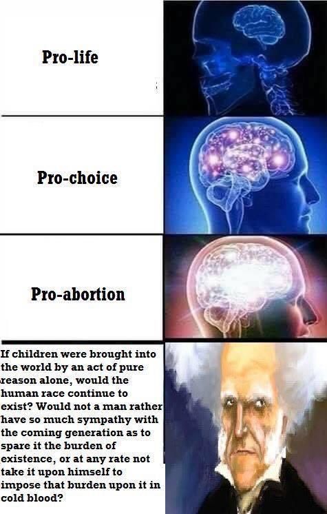 Very true. Although, I'm suprised the pro-life section even has a brain in the first place. : antinatalism Nerd Memes, Fb Memes, Funny Memes, Jokes, Wtf Funny, Hilarious, Philosophy Memes, Arthur Schopenhauer, Nihilist