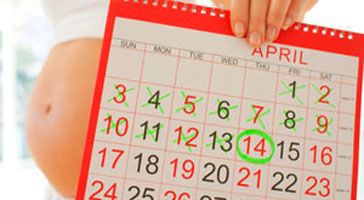 pregnancy calendar due date day by day