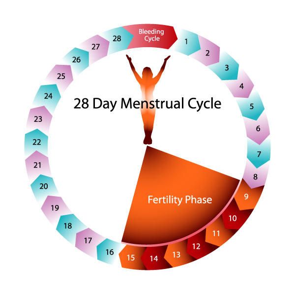 Pink Wet Pussy S Getting Pregnant After Period