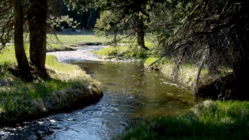 Image result for beautiful rivers gif