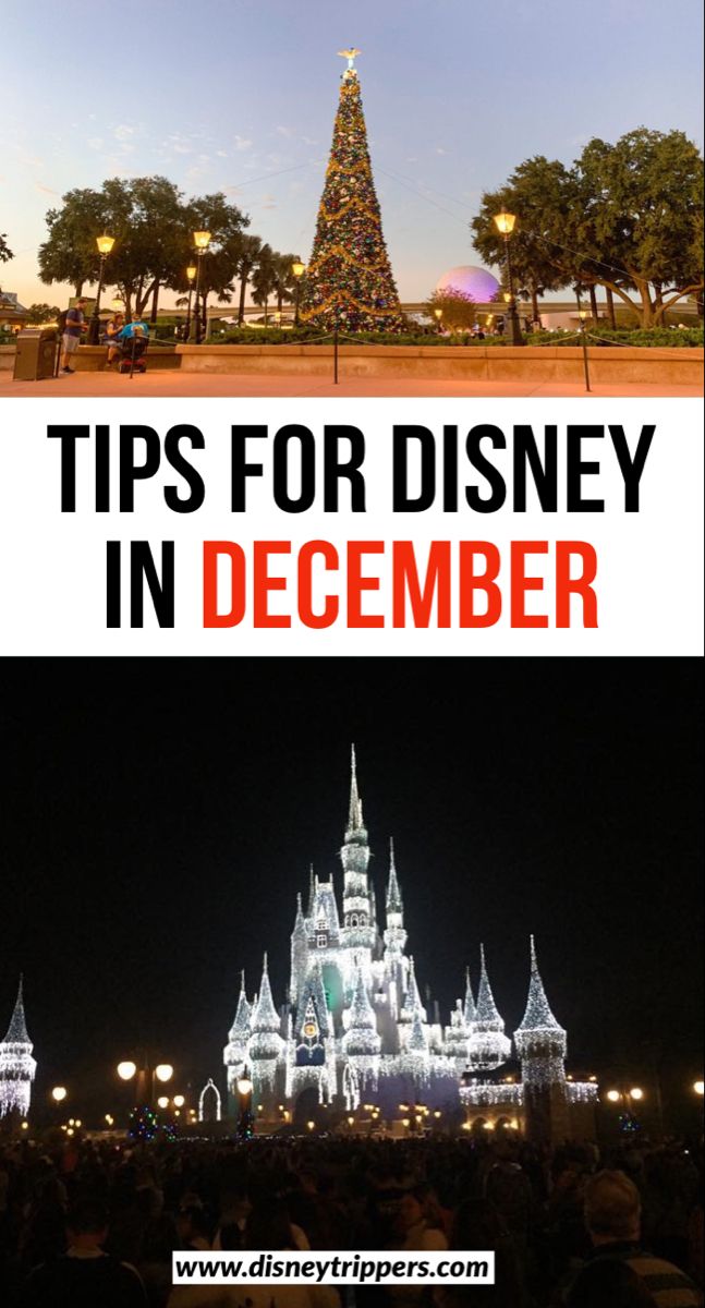 The Ultimate Guide To Visiting Disney In December