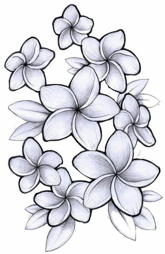 #Hawaiiantattoos | Flower drawing, Hawaiian flower drawing, Plumeria tattoo