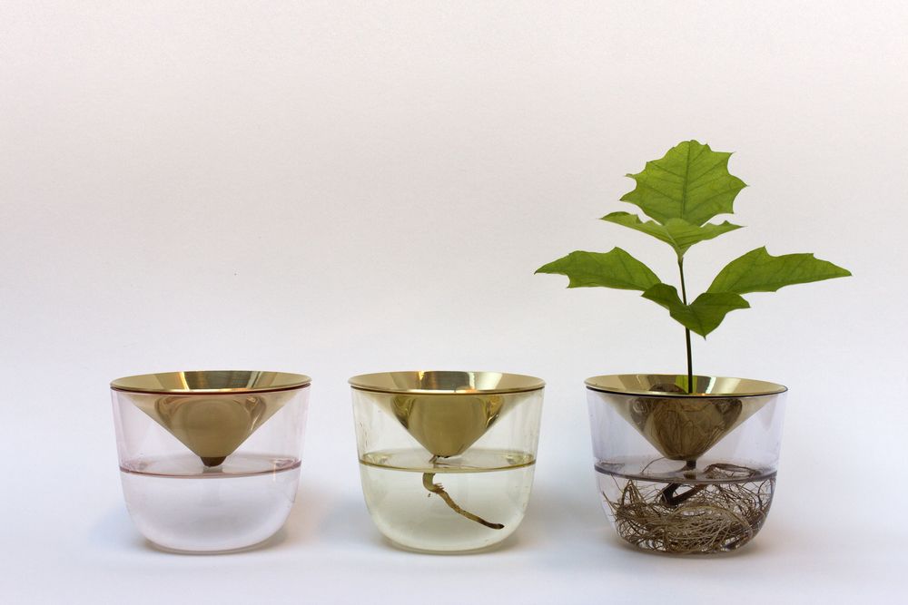 Trendspot 6 In Dia Yellow Acorn Bell Ceramic Planter Cr10732 06e The Home Depot In 2020 Ceramic Planters Ceramic Succulent Planter Yellow Ceramics