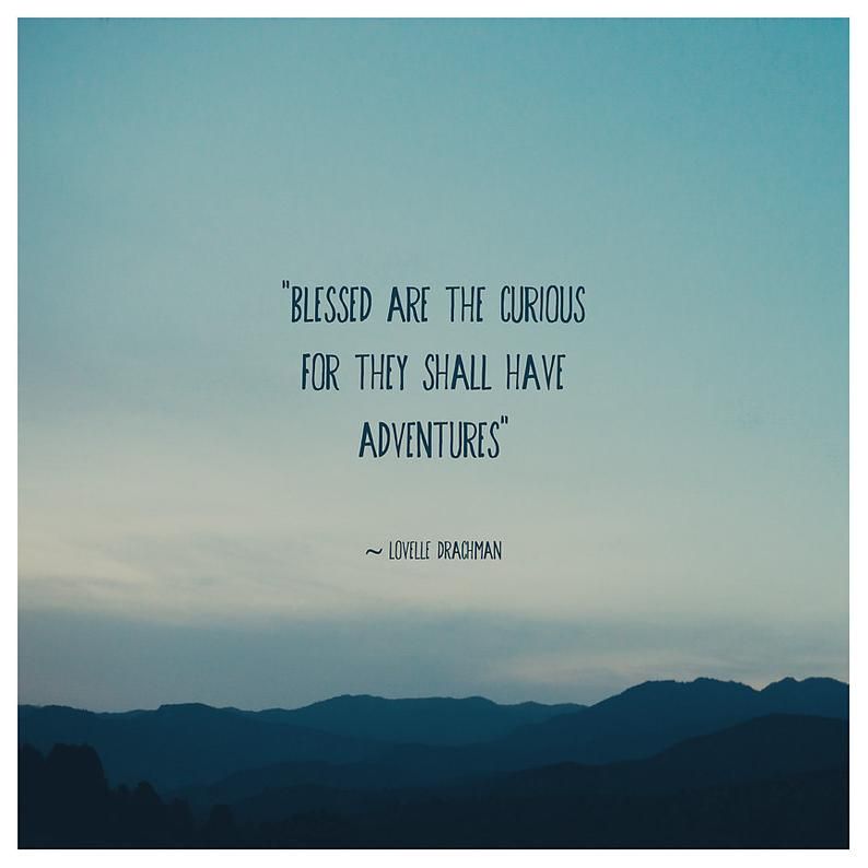 blessed are the curious inspirational quote print, blessed are the curious inspirational quote print,