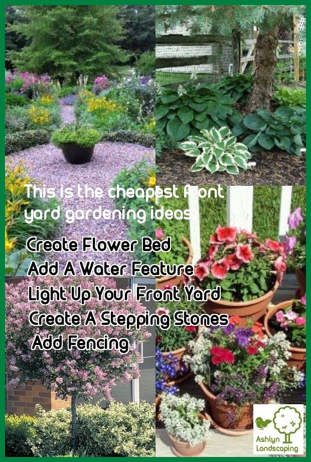 Tips And Tricks On How To Obtain The Best Designing Front Yard Ideas