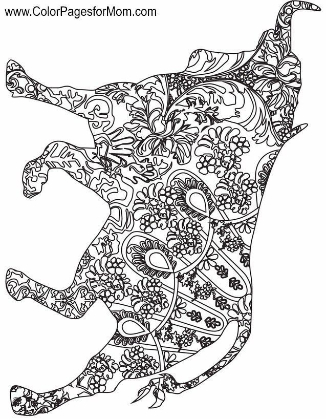 animal coloring page 122 | Coloring pages, Animal coloring pages