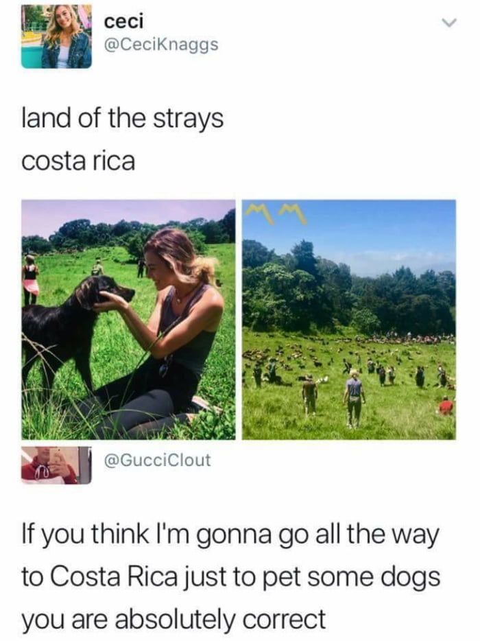 Any 9gaggers dream Any 9gaggers dream
