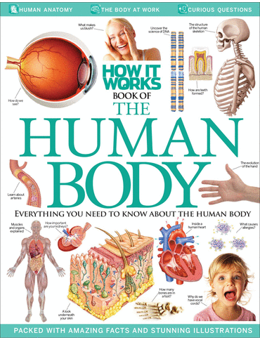How my body works books