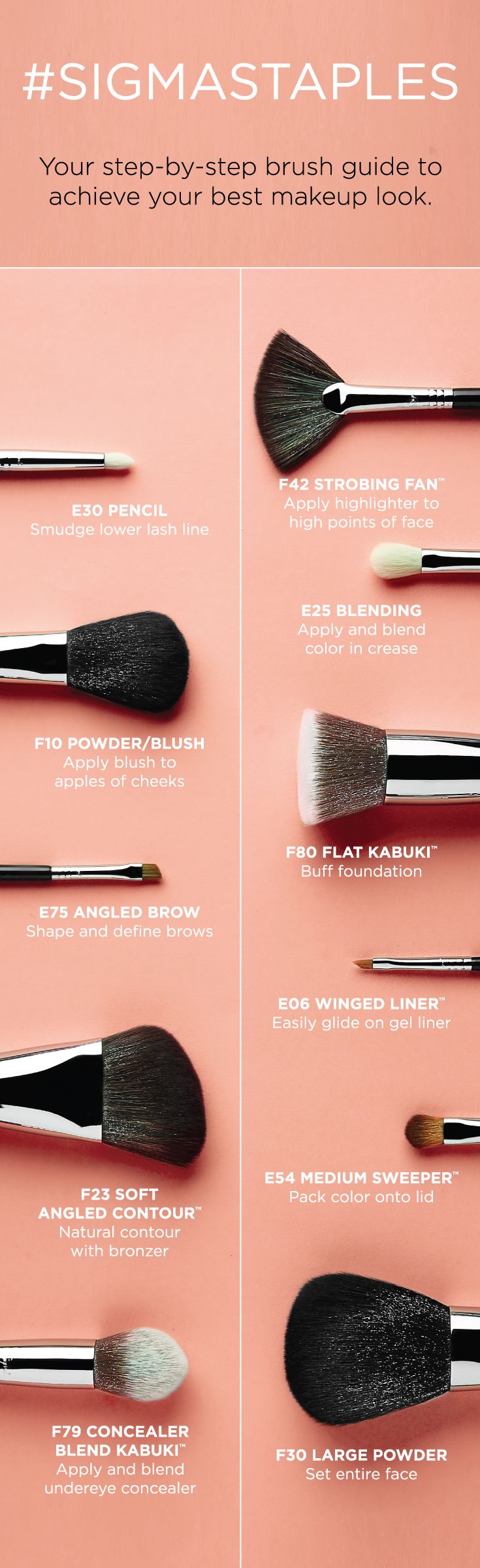 Makeup Brush Guides Sigma Beauty Best Makeup Products Makeup Brushes Guide Makeup Brushes 101