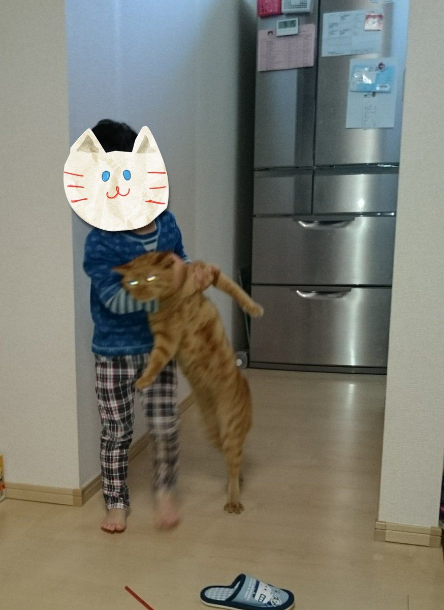 下手くそだけど可愛い ねこの写真へたくそ選手権 が面白い こぐま速報 キュートな猫 ねこ 子猫 下手くそだけど可愛い ねこの写真へたくそ選手権 が面白い こぐま速報 キュートな猫 ねこ 子猫