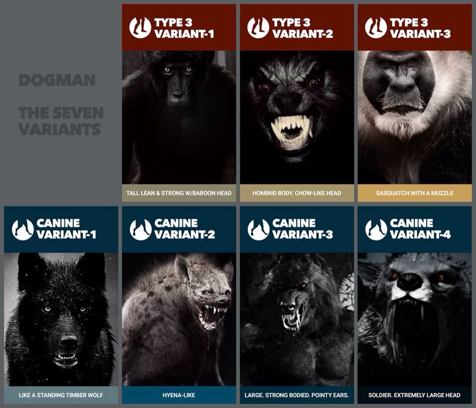 7. variants jaunumi par interneta tirdzniecību