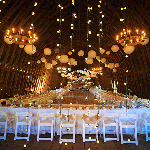 Mt Vernon Va Farm Wedding Photos Wedding Events Artistic Wedding