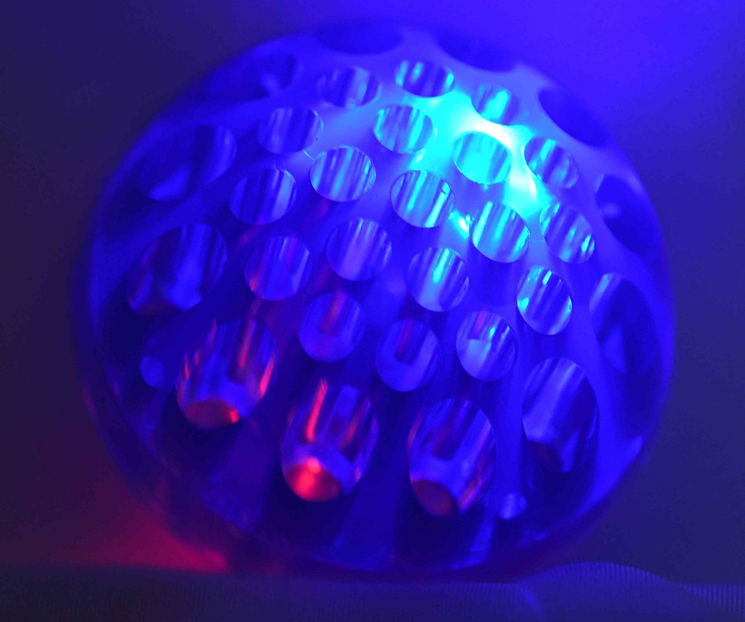 lighted dog ball toy