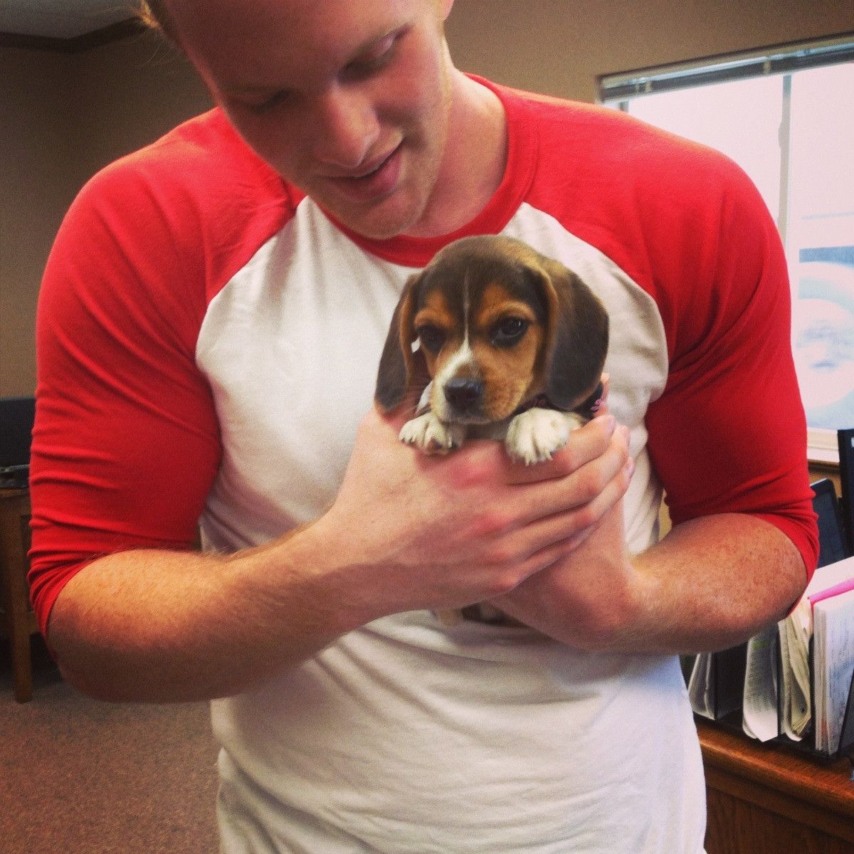 My Coworker Brought In Her Miniature Beagle Puppy Meet Lucy