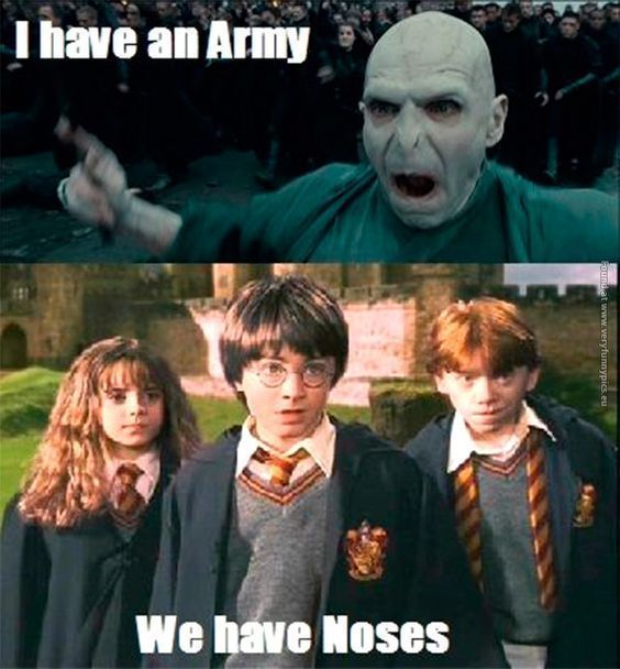 Harry Potter Memes – Only A True Potterhead Can Understand (Part 2) - #Harry #...