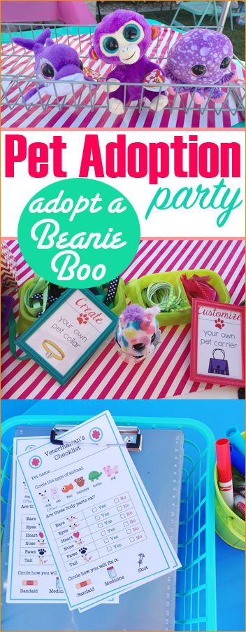 Beanie Boo Party - Paige's Party Ideas