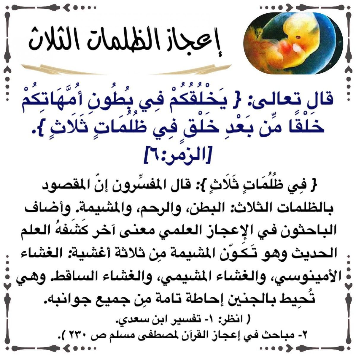 Pin By The Noble Quran On I Love Allah Quran Islam The Prophet Miracles Hadith Heaven Prophets Faith Prayer Dua حكم وعبر احاديث الله اسلام قرآن دعاء Words Quran Faith