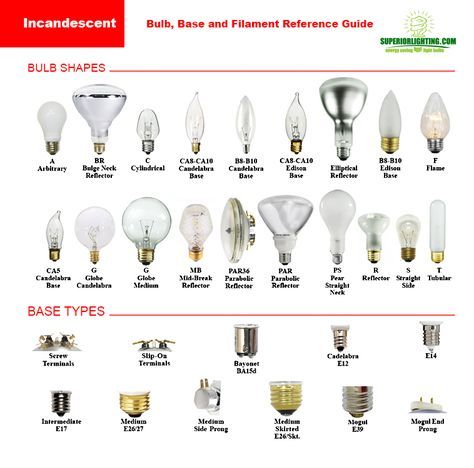 Light Bulb Size Chart, Light Bulb Bases, Lamp Bases, Light Bulbs, Lamp Light, Lighting Plan, Indirect Lighting, Lighting Guide, Types Of Lighting
