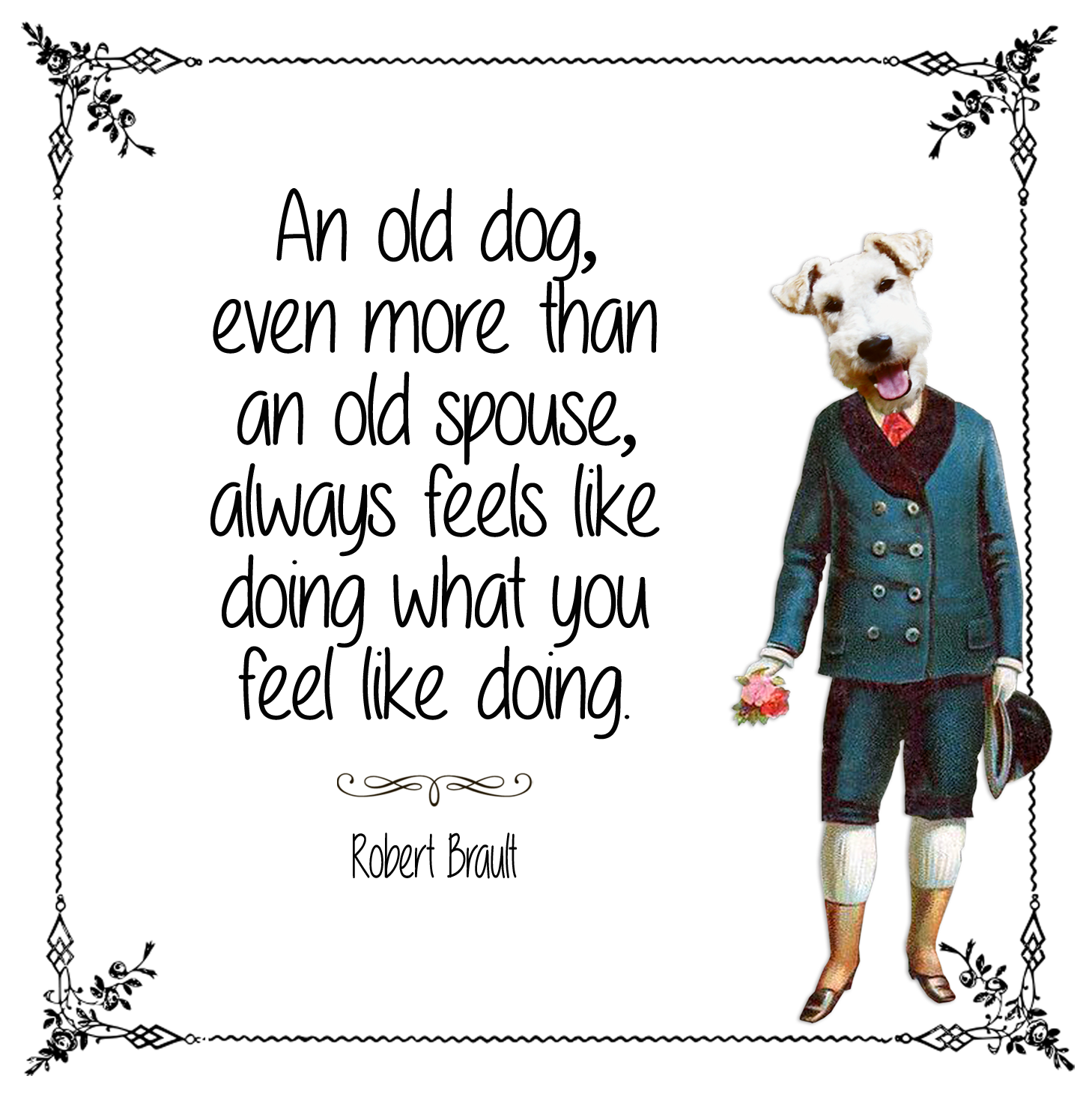 Old Dog Cani old-dog-cani