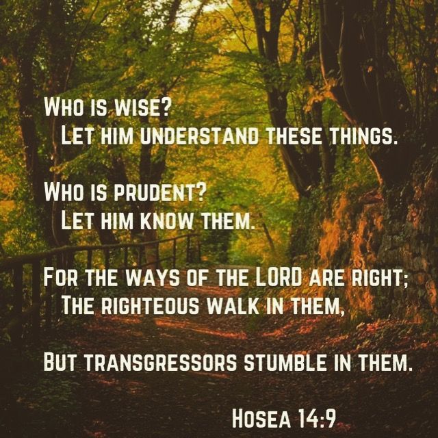 Walk In God S Ways They Are Right Hosea 14 9 Walkwithgod God Forgives Trust God Word Of God