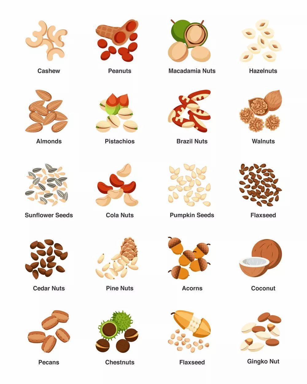 Top 94 Pictures Picture Of Different Kinds Of Nuts Latest Ab09c71f9a50544756c6c0f2d9048e3c