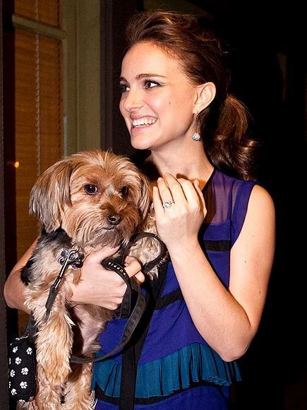 Jennifer Garner Gives Her Cat a Tour of 'Places in the House He’s Never Seen Bef