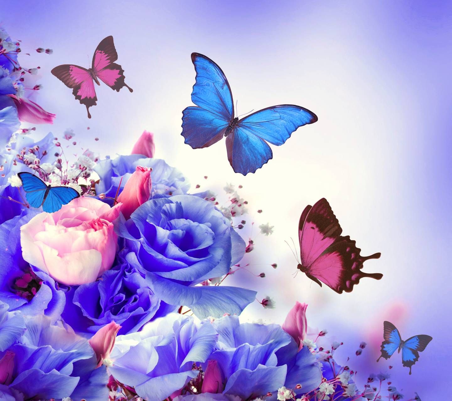 Floral Butterflies Butterfly Wallpaper Butterfly Painting Wallpaper