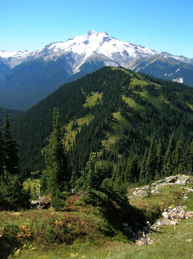 Green Trails Mount Baker Map