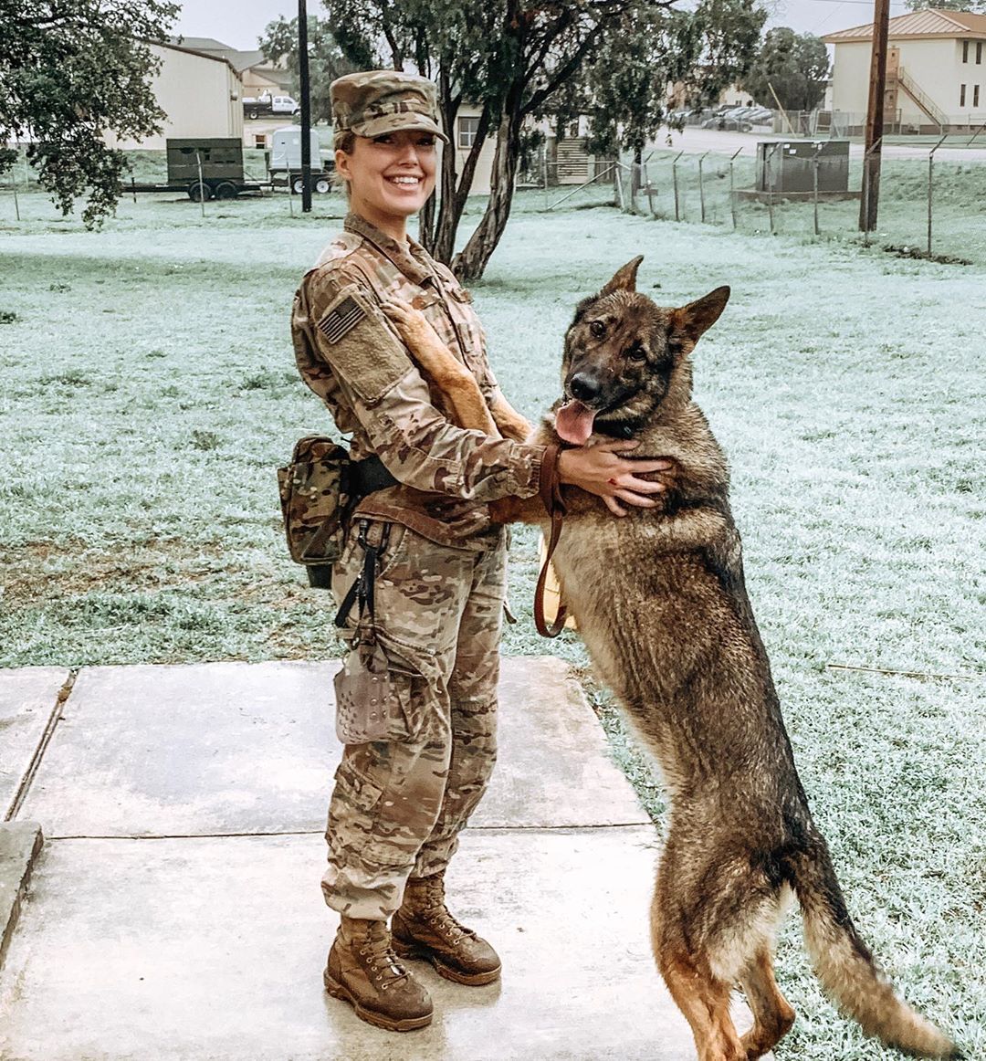 Pin on K9 Pin on K9