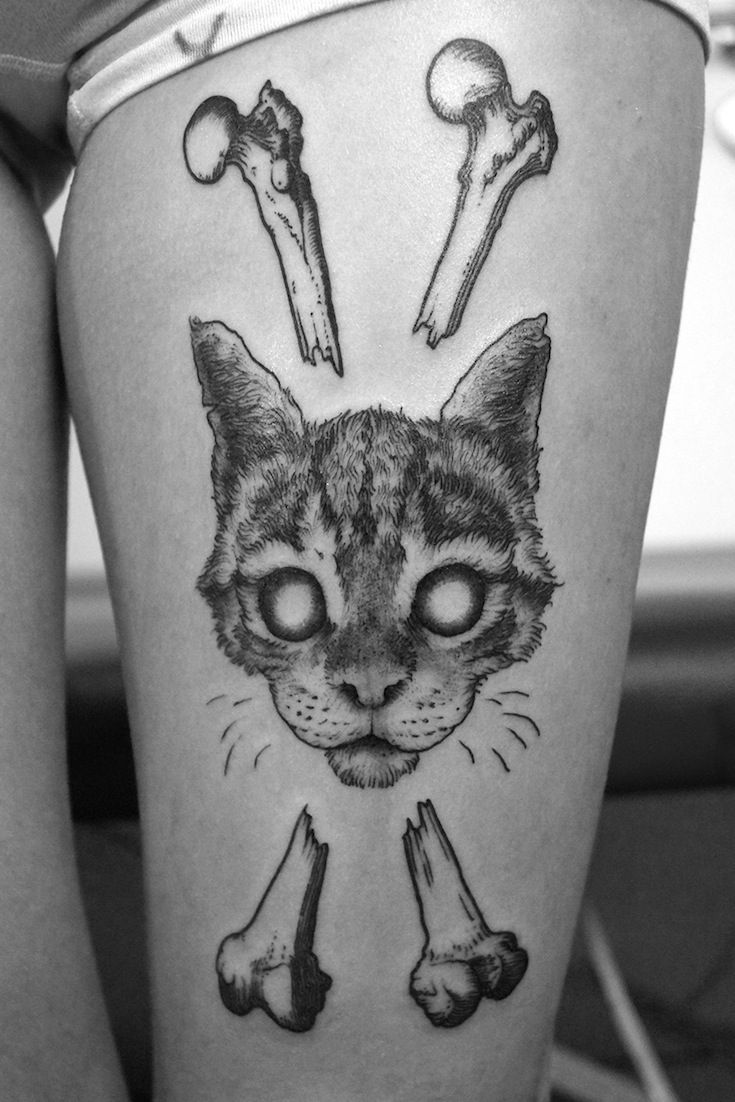 Tragic Kingdom Mannheim Tragic Kingdom Mannheim Tattoo Tattoo Mannheim Tatowierer In Mannheim Tattoo Rhein Neckar Tato Tattoo Artists Tattoos Cat Tattoo Tragic Kingdom Mannheim Tragic Kingdom Mannheim Tattoo Tattoo Mannheim Tatowierer In Mannheim Tattoo Rhein Neckar Tato Tattoo Artists Tattoos Cat Tattoo