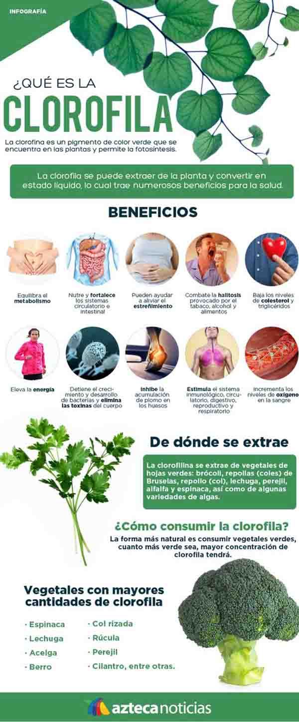 Pin En Herbolario